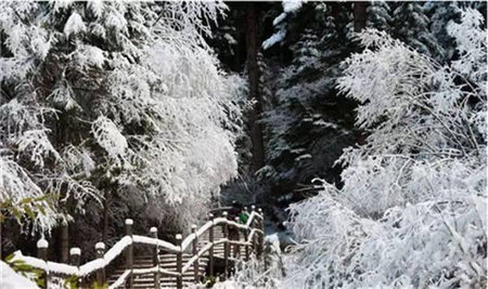 原來(lái)河南大雪過(guò)后這么美